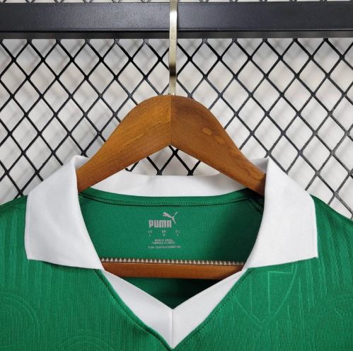 nova camisa do palmeiras verde 2024